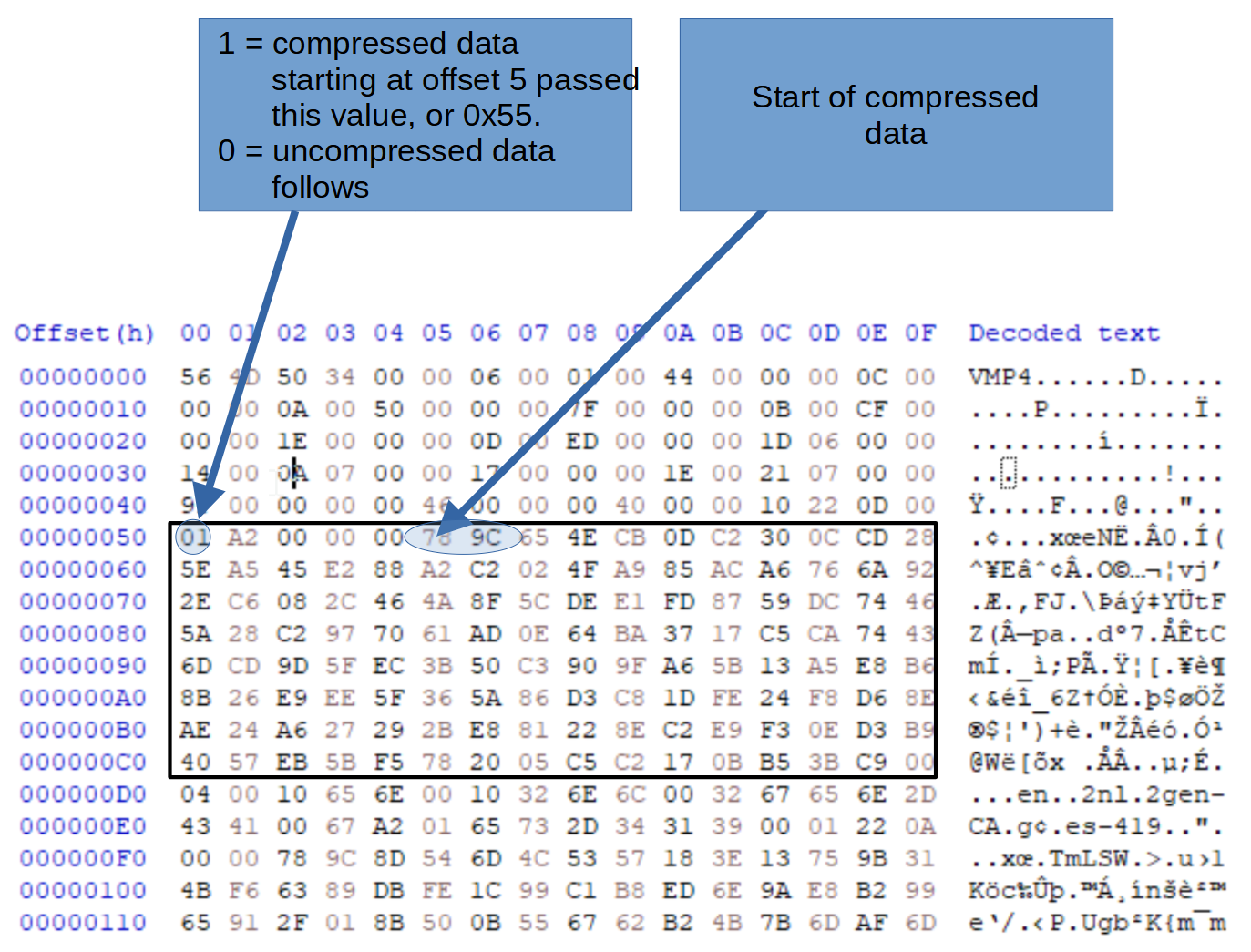 VMP4---field-2---type-11